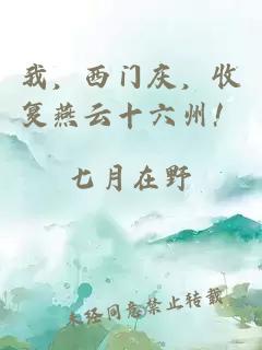 我，西门庆，收复燕云十六州！