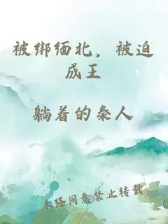 被绑缅北,被迫成王